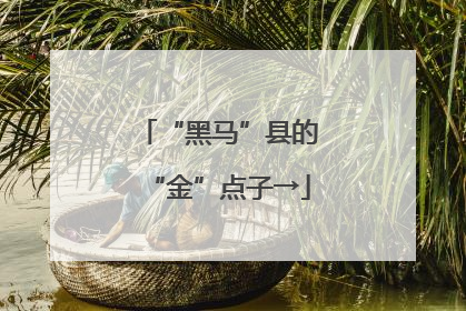 “黑马”县的“金”点子→