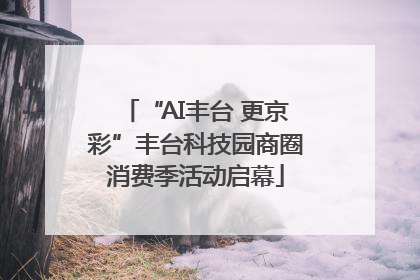 “AI丰台 更京彩”丰台科技园商圈消费季活动启幕