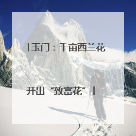 玉门：千亩西兰花开出“致富花”