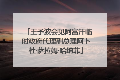 王予波会见阿富汗临时政府代理副总理阿卜杜·萨拉姆·哈纳菲