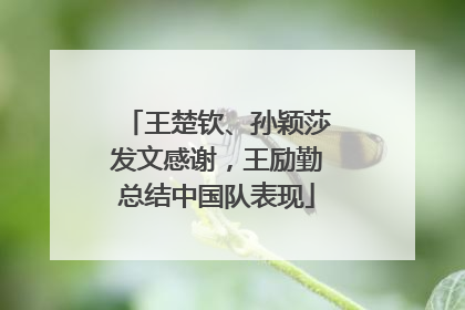 王楚钦、孙颖莎发文感谢，王励勤总结中国队表现