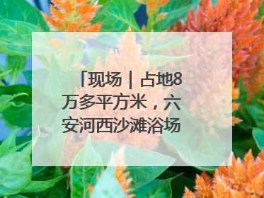 现场｜占地8万多平方米，六安河西沙滩浴场再现热闹场景