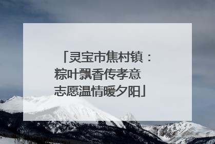 灵宝市焦村镇：粽叶飘香传孝意 志愿温情暖夕阳