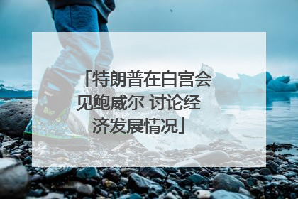 特朗普在白宫会见鲍威尔 讨论经济发展情况