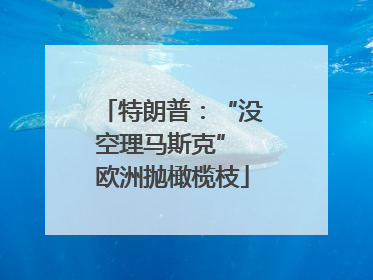 特朗普：“没空理马斯克” 欧洲抛橄榄枝