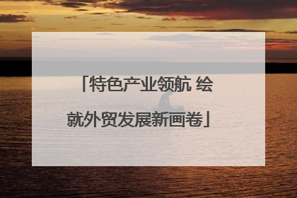 特色产业领航 绘就外贸发展新画卷