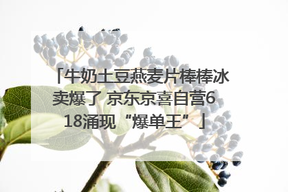牛奶土豆燕麦片棒棒冰卖爆了 京东京喜自营618涌现“爆单王”