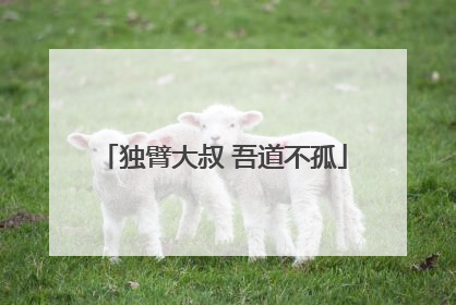 独臂大叔 吾道不孤