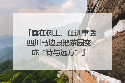睡在树上、住进童话 四川马边县把茶园变成“诗与远方”
