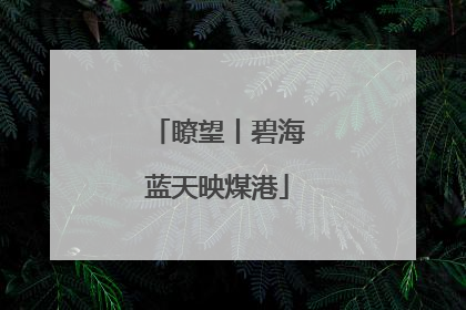 瞭望丨碧海蓝天映煤港