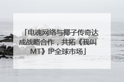 电魂网络与椰子传奇达成战略合作，共拓《我叫MT》IP全球市场