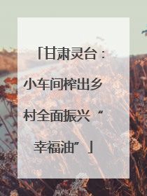 甘肃灵台：小车间榨出乡村全面振兴“幸福油”