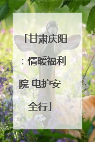甘肃庆阳：情暖福利院 电护安全行