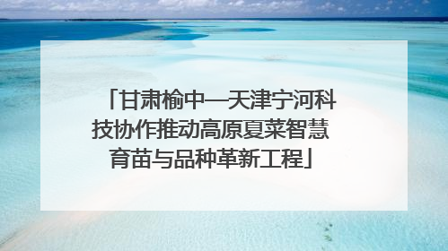 甘肃榆中—天津宁河科技协作推动高原夏菜智慧育苗与品种革新工程