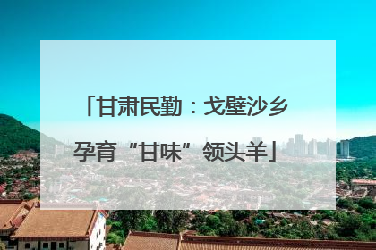 甘肃民勤：戈壁沙乡孕育“甘味”领头羊