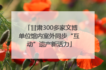 甘肃300多家文博单位馆内室外同步“互动”遗产新活力