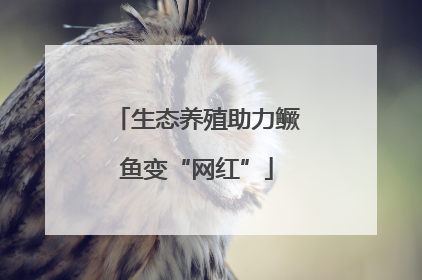 生态养殖助力鳜鱼变“网红”