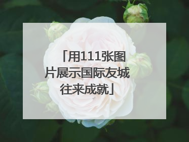 用111张图片展示国际友城往来成就