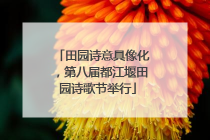 田园诗意具像化，第八届都江堰田园诗歌节举行