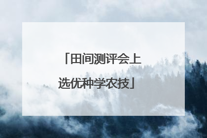 田间测评会上选优种学农技