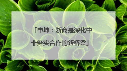 申坤：浙商是深化中非务实合作的新桥梁