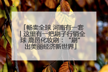畅卖全球 河南有一套丨这里有一把刷子行销全球 鹿邑化妆刷：“刷”出美丽经济新世界