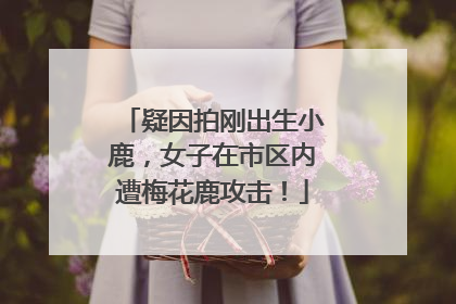 疑因拍刚出生小鹿，女子在市区内遭梅花鹿攻击！