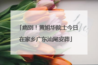 痛别！黄旭华院士今日在家乡广东汕尾安葬