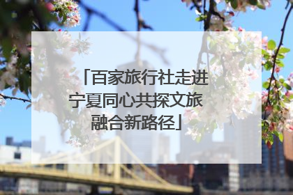 百家旅行社走进宁夏同心共探文旅融合新路径