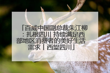百威中国副总裁朱江柳：扎根四川 持续满足西部地区消费者的美好生活需求丨西望四川