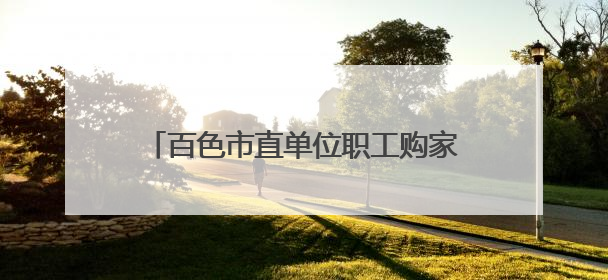 百色市直单位职工购家电最高补60％，相关负责人：仅200个名额，不会严格筛查身份