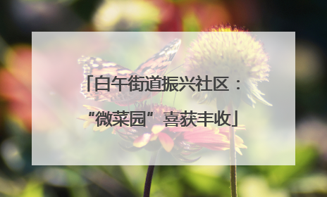 白午街道振兴社区：“微菜园”喜获丰收