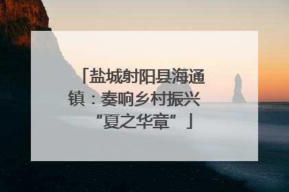 盐城射阳县海通镇：奏响乡村振兴“夏之华章”