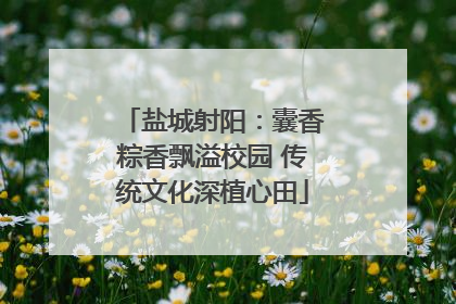 盐城射阳：囊香粽香飘溢校园 传统文化深植心田