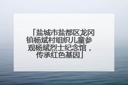 盐城市盐都区龙冈镇杨斌村组织儿童参观杨斌烈士纪念馆，传承红色基因