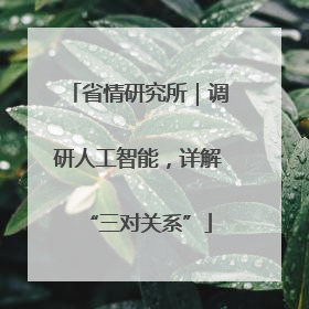 省情研究所｜调研人工智能，详解“三对关系”