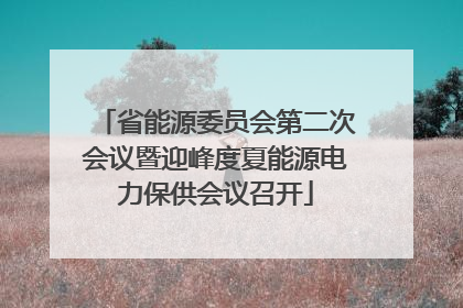 省能源委员会第二次会议暨迎峰度夏能源电力保供会议召开
