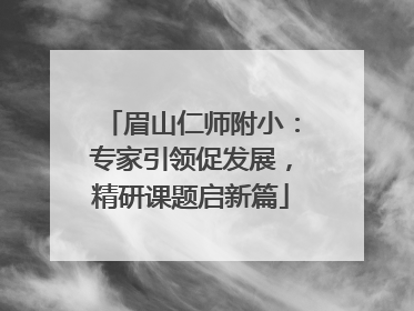 眉山仁师附小：专家引领促发展，精研课题启新篇
