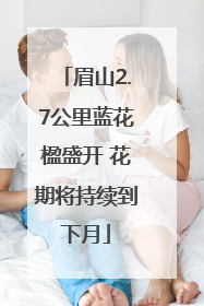 眉山2.7公里蓝花楹盛开 花期将持续到下月