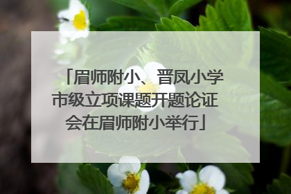 眉师附小、晋凤小学市级立项课题开题论证会在眉师附小举行