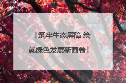 筑牢生态屏障 绘就绿色发展新画卷