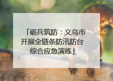 砺兵筑防：义乌市开展全链条防汛防台综合应急演练