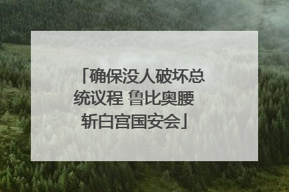 确保没人破坏总统议程 鲁比奥腰斩白宫国安会