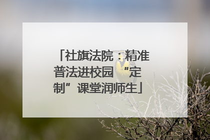 社旗法院：精准普法进校园 “定制”课堂润师生
