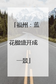 福州：蓝花楹盛开成一景