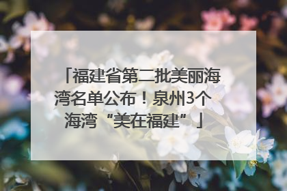 福建省第二批美丽海湾名单公布！泉州3个海湾“美在福建”