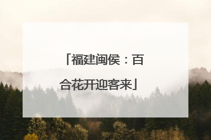 福建闽侯：百合花开迎客来