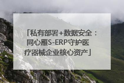 私有部署+数据安全：同心雁S-ERP守护医疗器械企业核心资产
