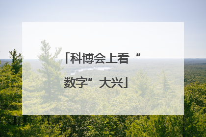 科博会上看“数字”大兴