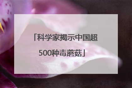 科学家揭示中国超500种毒蘑菇